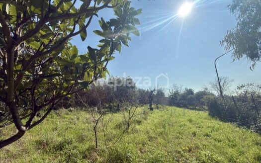 Terreno in vendita