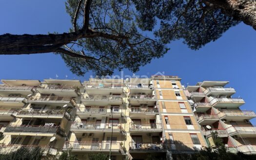 Cinque vani in vendita