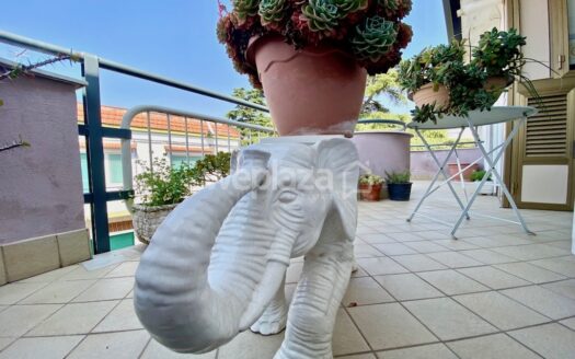 Cinque vani in vendita