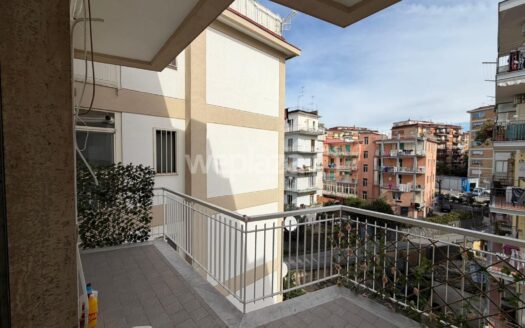 Trilocale in affitto